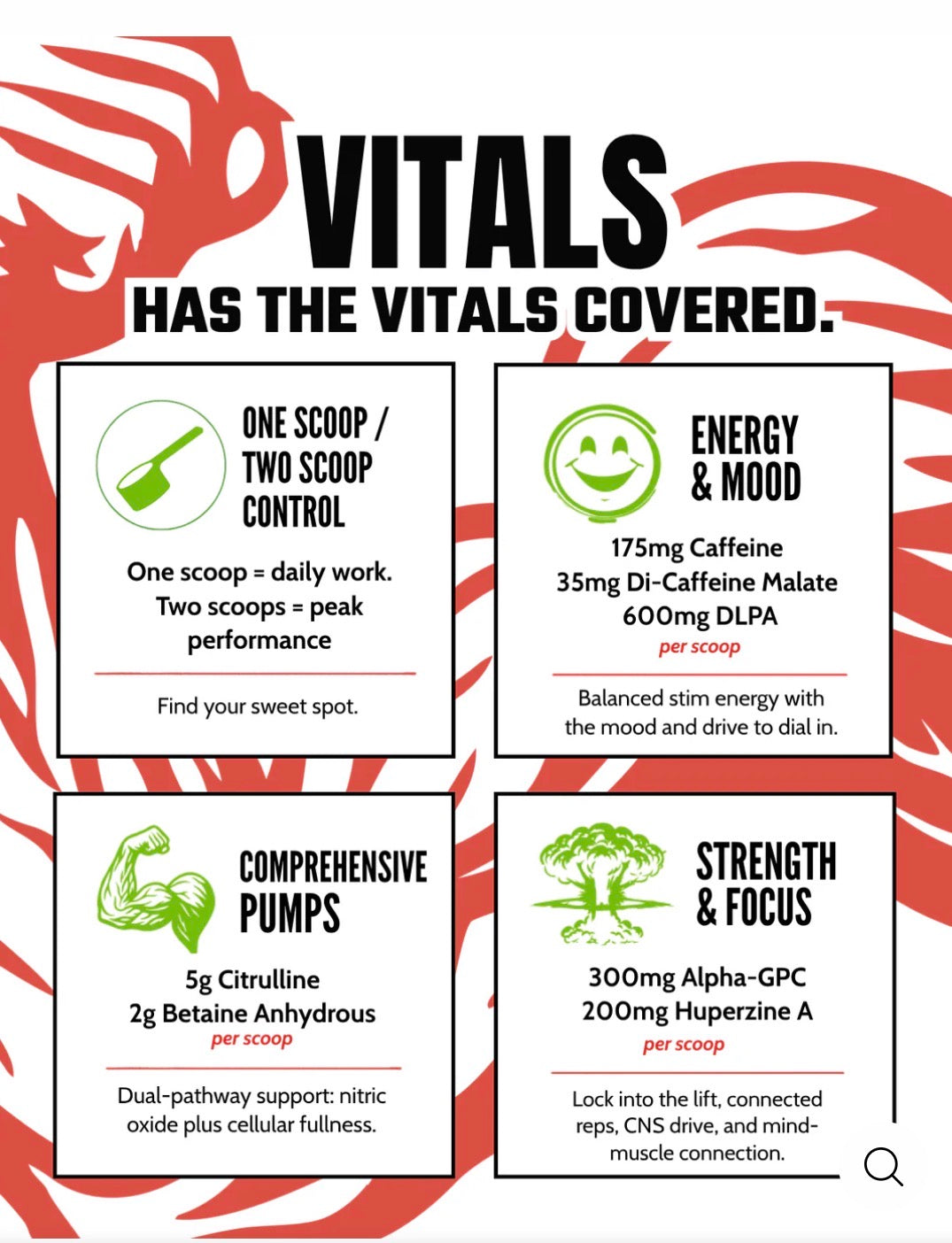PRÉ TREINO VITALS - 310G