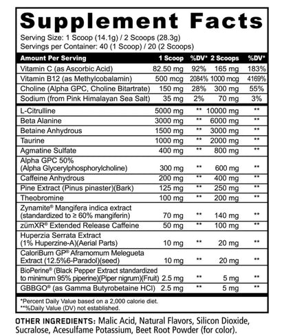 PRÉ TREINO PANDA SCORPION 565G
